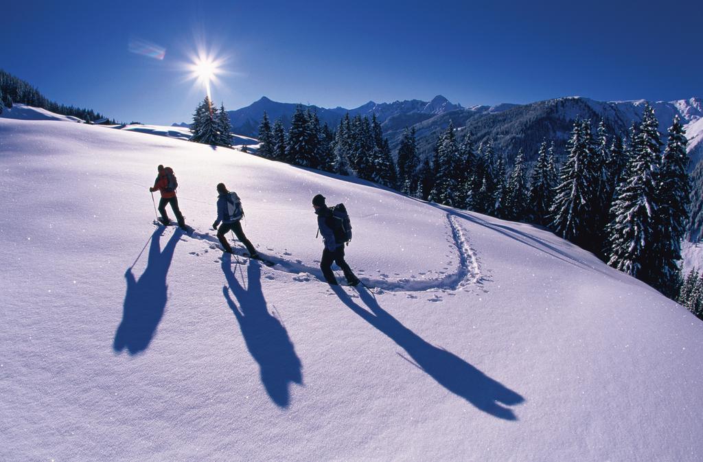 Alpina Zillertal . Family Lifestyle Kinderhotel Fügen Eksteriør bilde
